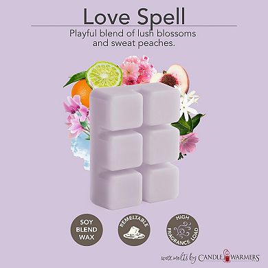 Candle Warmers Etc. 2.5-oz. Love Spell & Cozy Cashmere Variety Wax Melts 48-piece Set