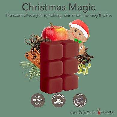 Candle Warmers Etc. 2.5-oz. Peppermint Vanilla Swirl & Christmas Magic Variety Wax Melts 48-piece Set