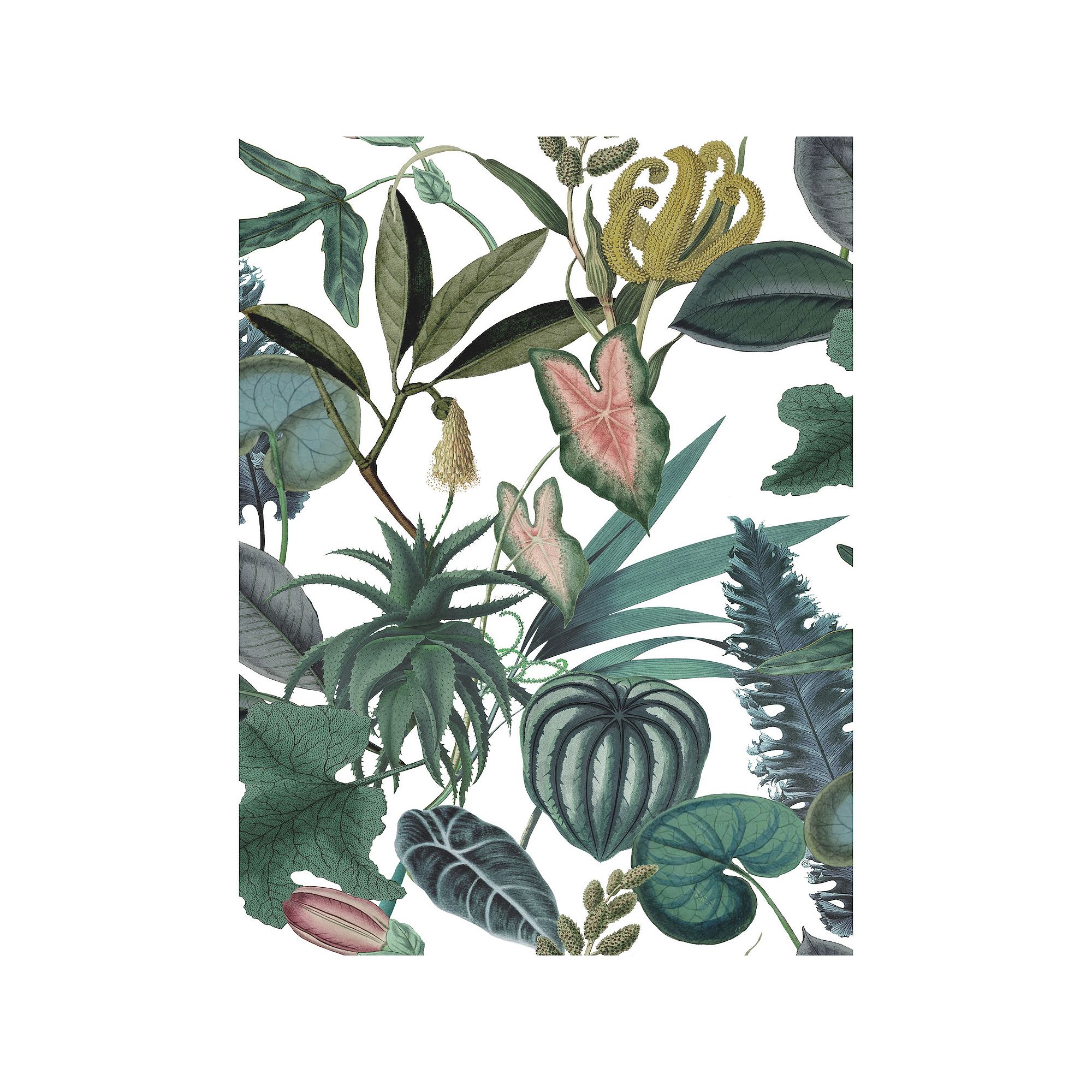 Mr. Kate Tropical Peel & Stick Wallpaper, Multi