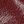 Oxblood