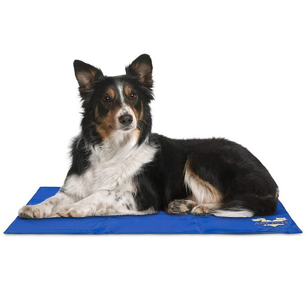 Self cooling pet bed sales