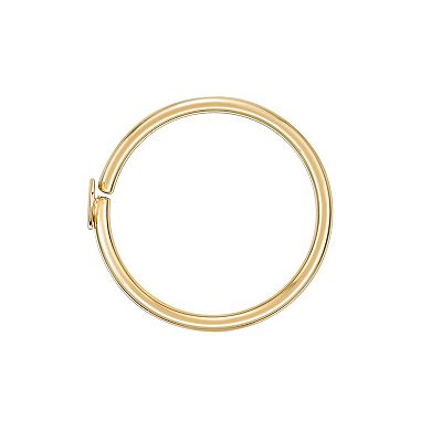 Lila Moon 14k Gold 8 mm Seamless Heart Nose Ring