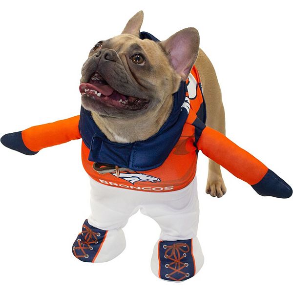 Denver Broncos Pet Gear, Broncos Collars, Chew Toys, Pet