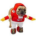 Pet Sports Costumes