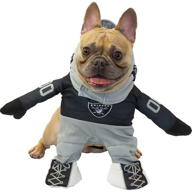 OAKLAND RAIDERS DOG CLOTHING & ACCESSORIES (Free Shipping)