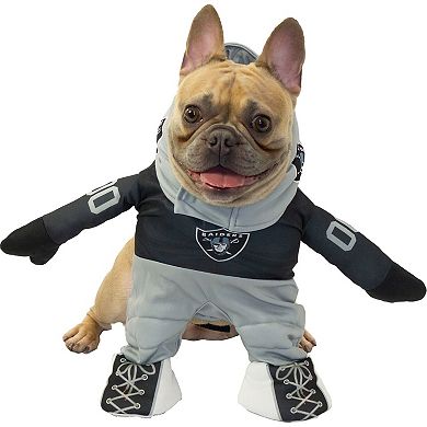 Las Vegas Raiders Running Dog Costume