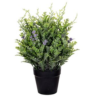 Vickerman 11 in Artificial Senecio Cineraria in Plastic Pot