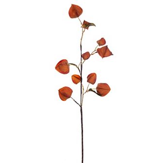 Vickerman Set of 2 Artificial Dried Lantern Sprays