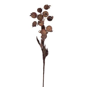 Vickerman Set of 3 Artificial Dried Fruit Sprays