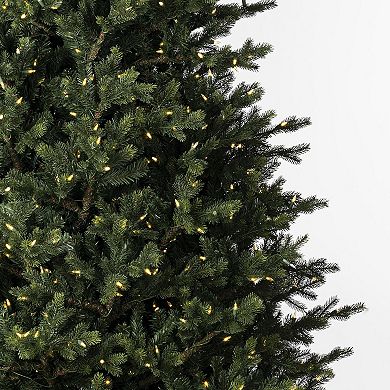 Vickerman 8.5-ft. Artificial Welch Fraser Fir Christmas Tree with Dura-lit LED Lights