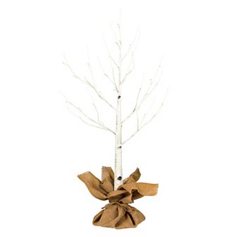 Vickerman 3-ft. Artificial Birch LED Twig Tree Floor Decor