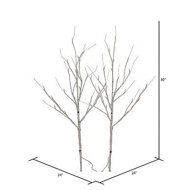 Vickerman Set of 2 Artificial Birch LED Twig Branches