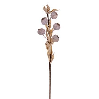 Vickerman Set of 3 Artificial Dried Fruit Sprays
