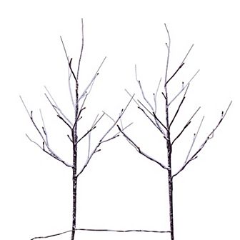 Vickerman Set of 2 Battery-Operated LED Twig Branches