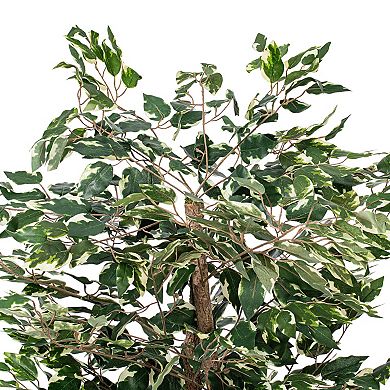 Vickerman 4-ft. Artificial Variegated Ficus Bush in Plastic Container