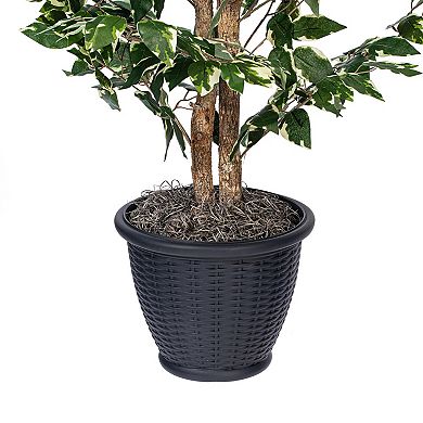 Vickerman 4-ft. Artificial Variegated Ficus Bush in Plastic Container