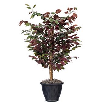 Vickerman 4-ft. Artificial Capensia Bush in Round Plastic Container