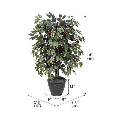 Vickerman 4-ft. Artificial Capensia Bush in Round Plastic Container
