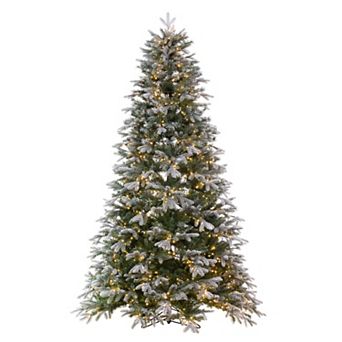 Vickerman 9-ft. Frosted Douglas Fir Artificial Christmas Tree with LED Lights