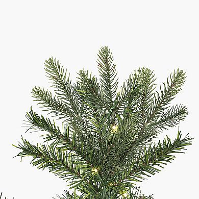 Vickerman 6.5-ft. Pre-Lit LED Douglas Fir Artificial Slim Christmas Tree
