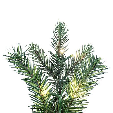 Vickerman Pre-Lit Douglas Fir Artificial Wreath
