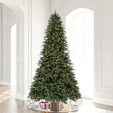 Vickerman 9-ft. Artificial Douglas Fir Christmas Tree with LED Lights