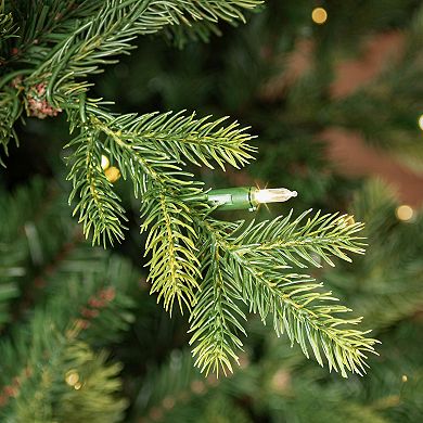 Vickerman 7.5-ft. Artificial Fraser Fir Christmas Tree with Warm White Lights