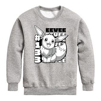 Boys 8-20 Pokemon Eeevee Panel 133 Sweatshirt