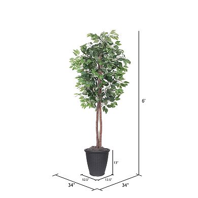Vickerman 6-ft. Artificial Ficus Tree in Round Plastic Container