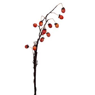 Vickerman 2 pc 34.5-Inch Artificial Dried Persimmon Spray
