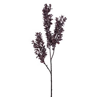 Vickerman 2 pc 26-Inch Artificial Dry Boxwood Spray