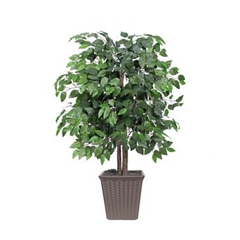 Vickerman Artificial Ficus Bush in Square Plastic Container