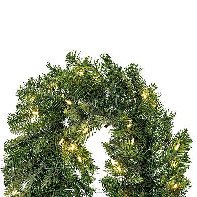 Vickerman 9-ft. Artificial Douglas Fir Pre-Lit Garland