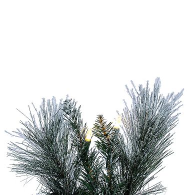 Vickerman Flocked Jackson Pine Pre-Lit Artificial Wreath with PVC Tips