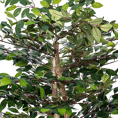 Vickerman Artificial Mini Ficus Bush in Gray Round Plastic Container