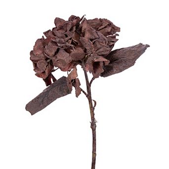 Vickerman Artificial Dried Hydrangea Spray 6 pk