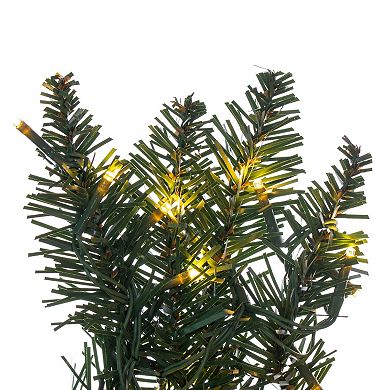 Vickerman Camdon Fir Artificial Pre-Lit Wreath