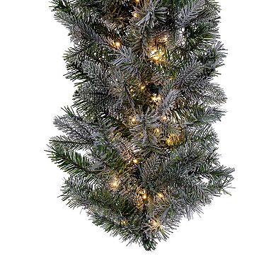 Vickerman 9-ft. Artificial Douglas Fir Garland with Warm White LED Lights