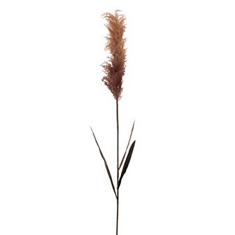 Vickerman 44-Inch Artificial Reed Spray 2 pc Set