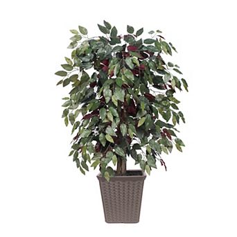 Vickerman 4-ft. Artificial Capensia Bush in Square Plastic Basket