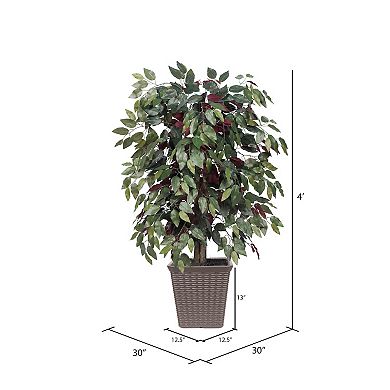 Vickerman 4-ft. Artificial Capensia Bush in Square Plastic Basket