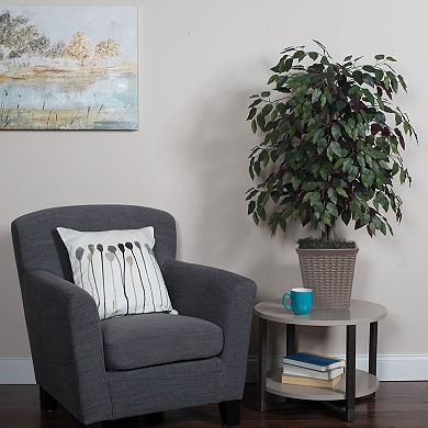 Vickerman 4-ft. Artificial Capensia Bush in Square Plastic Basket