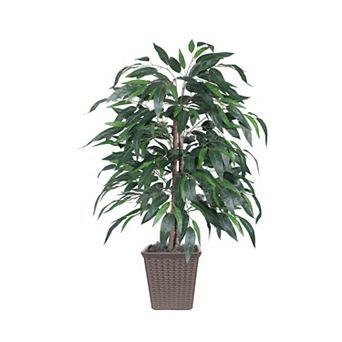 Vickerman Artificial Mango Bush in Brown Square Plastic Container