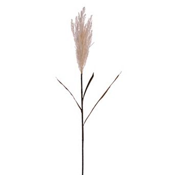 Vickerman 51-Inch Artificial Reed Spray 2 pc Set