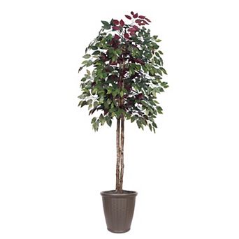 Vickerman 6-ft. Artificial Capensia Tree in Round Plastic Container