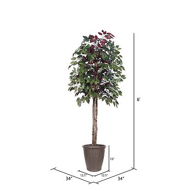 Vickerman 6-ft. Artificial Capensia Tree in Round Plastic Container