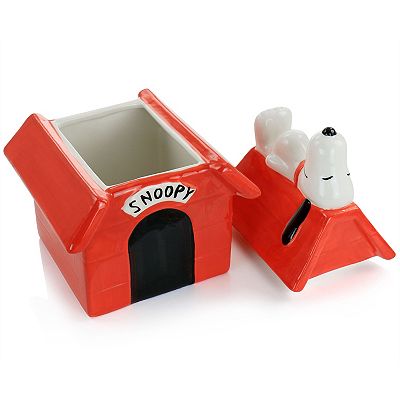 Vintage 1970's McCoy made for Sears's SNOOPY on Dog House