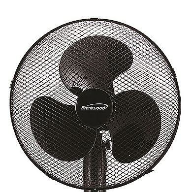 Kool Zone 16in Oscillating Fan in Black
