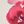 Pink Multi