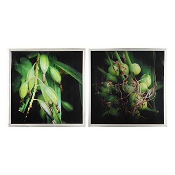 A&B Home Botanical Photography Framed Wall Art 2 pc Set